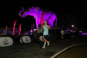 BIB: 
                            <button type="button" onclick="openModal(26534508)" class="btn btn-primary btn-sm float-right btn-popup" data-toggle="modal" data-target=".modal-high-quality">
                        <i class="fas fa-shopping-cart"></i> Add to Cart
                    </button>
                                            <button type="button" onclick="isThisMe(26534508, true)" class="btn btn-success btn-sm float-right btn-popup btn-isme hidden" data-toggle="tooltip" data-placement="bottom" title="นี่คือรูปของคุณใช่ไหม คลิกที่นี่เพื่อเอาเข้าอัลบั้ม">
                        <i class="fas fa-plus"></i> Add to album
                    </button>
                    <button type="button" onclick="isThisMe(26534508, false)" class="btn btn-warning btn-sm float-right btn-popup btn-isnotme hidden">
                        <i class="fas fa-ban"></i> Remove from album
                    </button>